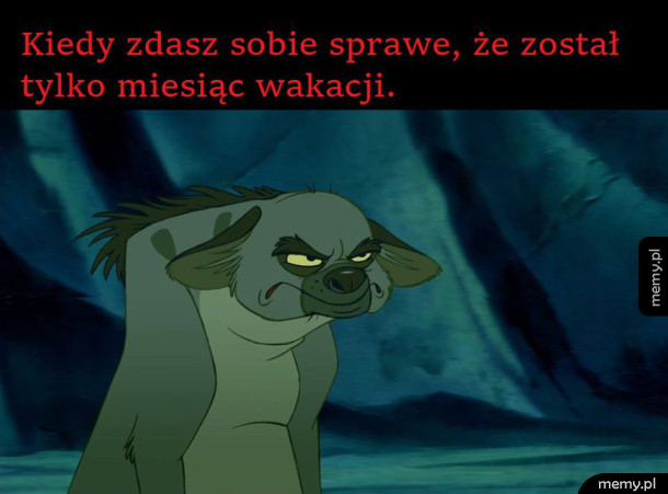 Wakacje