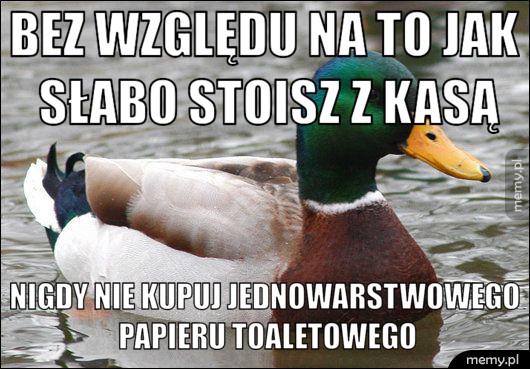 Bez względu na to jak słabo stoisz z kasą nigdy nie kupuj jednowarstwowego papieru toaletowego