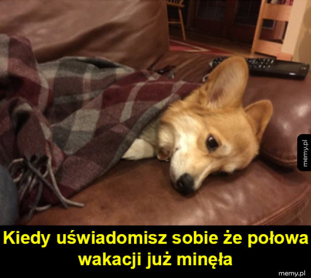 A ty nic nie zrobiłeś