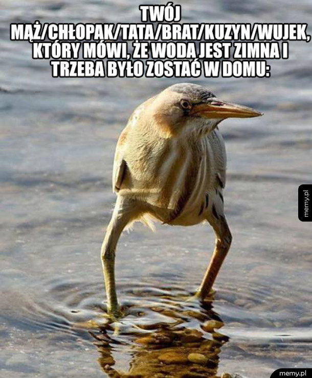 Tymczasem na wakacjach