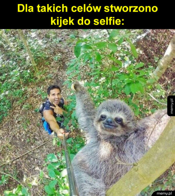 Selfie