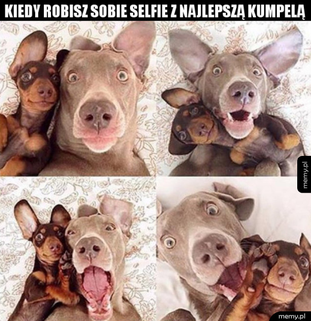 Selfie
