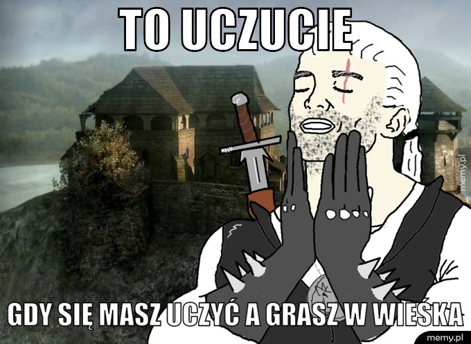 To uczucie gdy się masz uczyć a grasz w wieśka