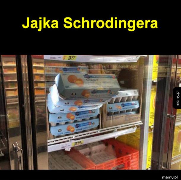 Jajka Schrodingera