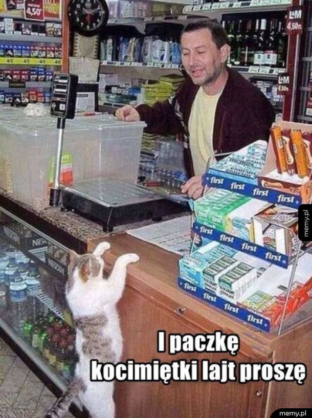 Koteł na zakupach