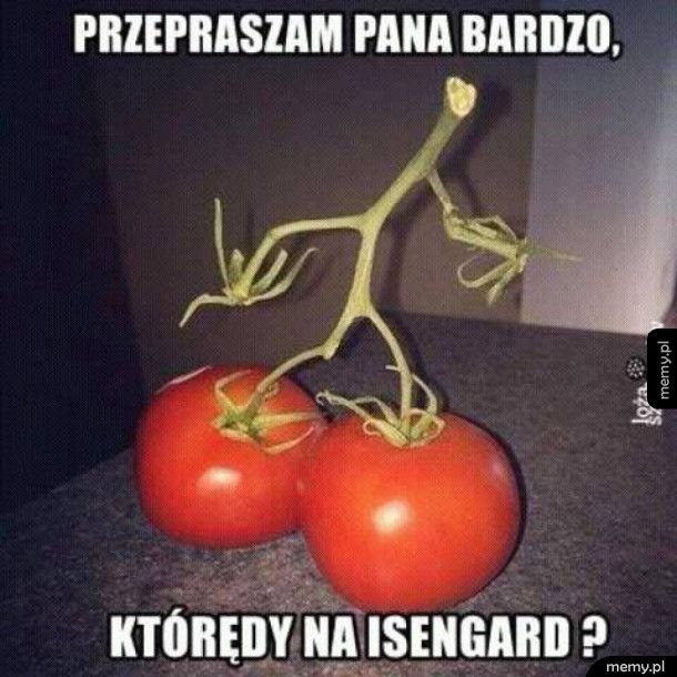 Ent Pomidorzec