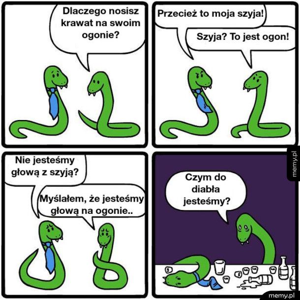 Problemy węży