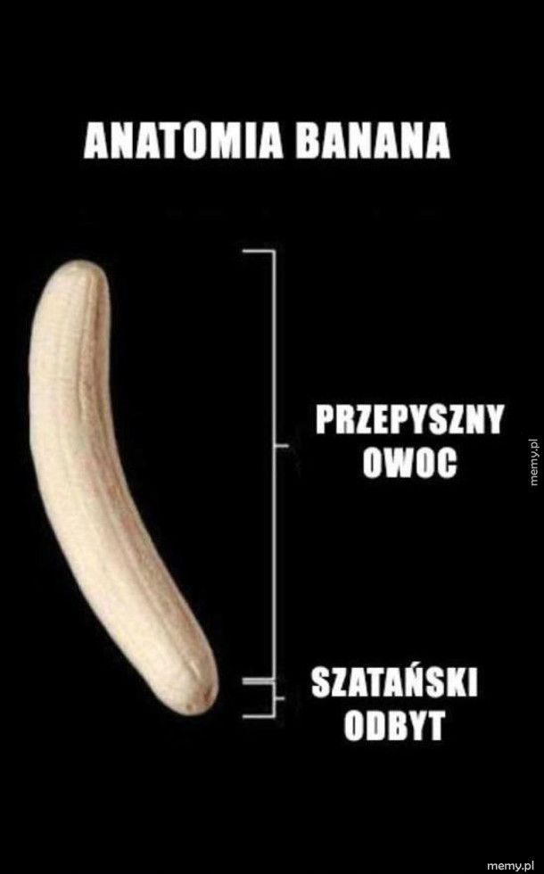 Anatomia banana