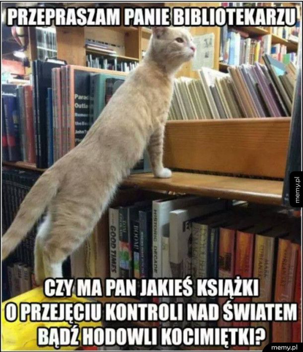 Przychodzi kot do biblioteki...