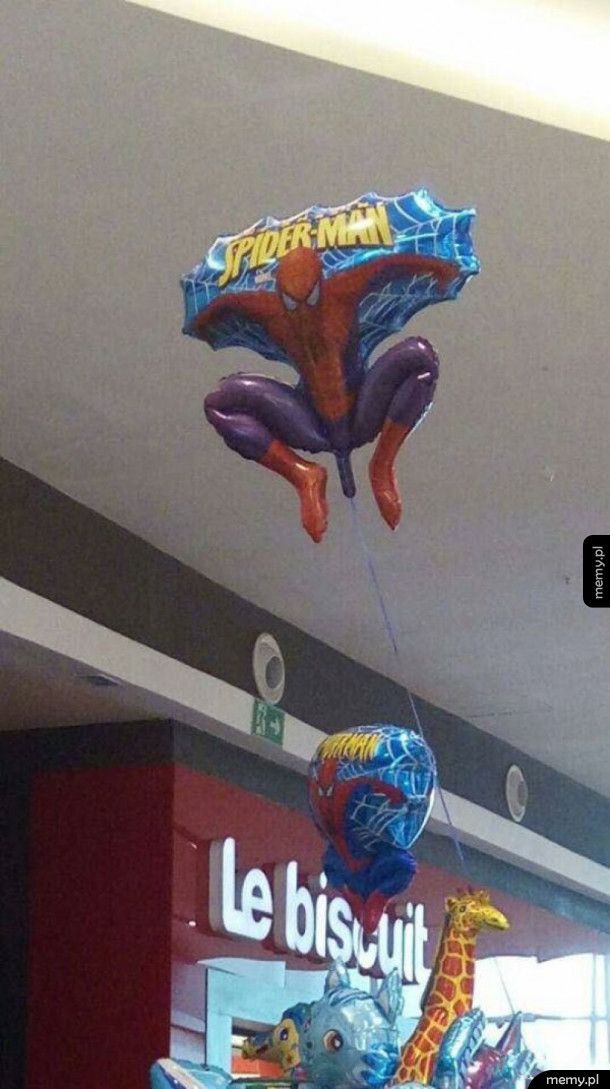 Ciekawy balon