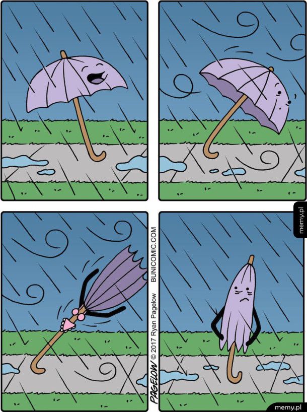 Historia pewnej parasolki