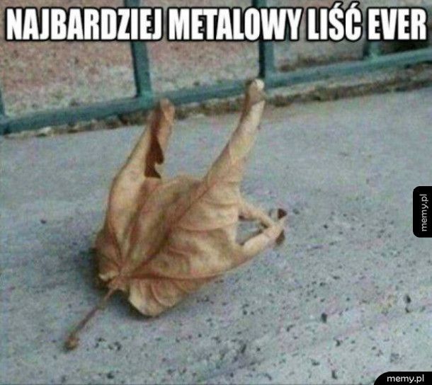 Metalowy liść
