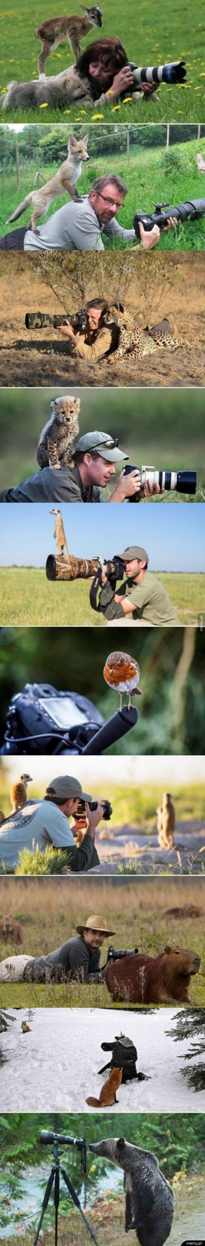 Kiedy jesteś kiepskim fotografem, ale zwierzęta chcą ci pomóc.