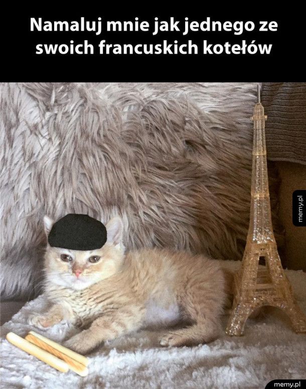 Francuski koteł