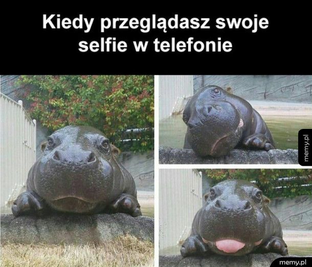 Selfie czar