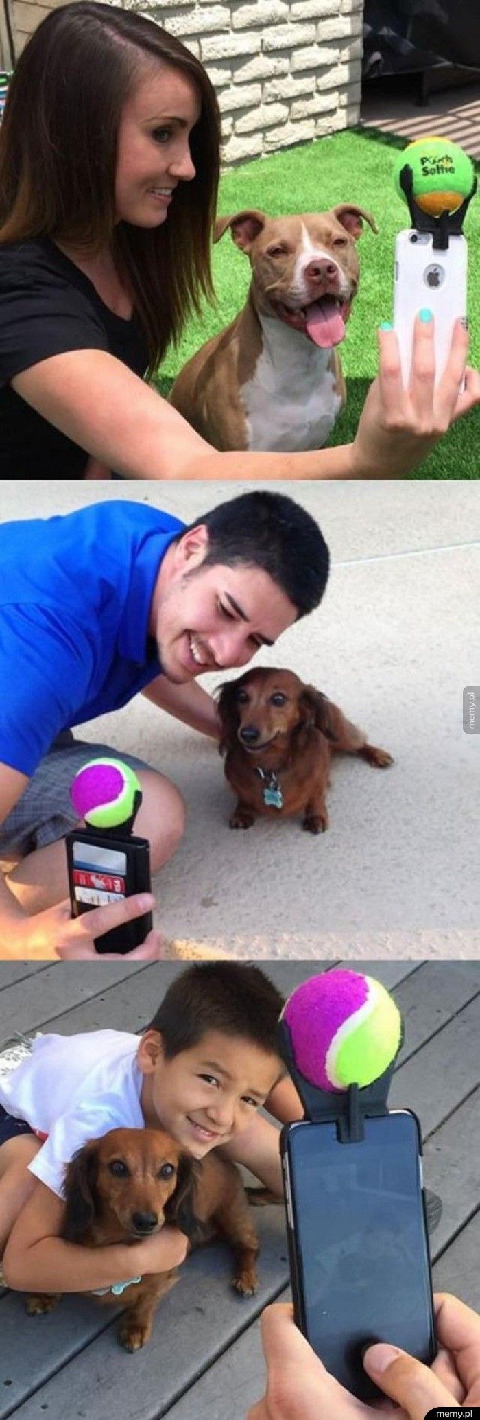 Sposób na selfie z psem