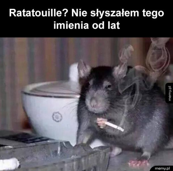 Ratatouille