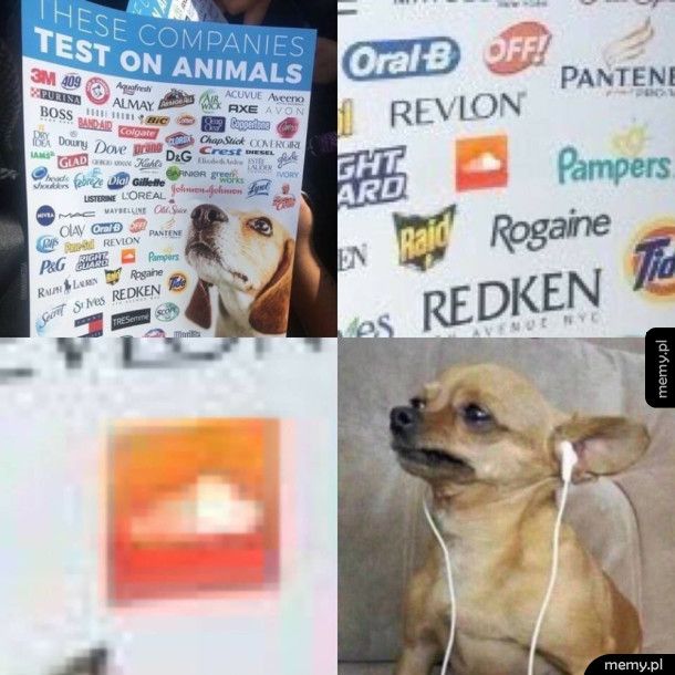 Testowane na zwierzętach