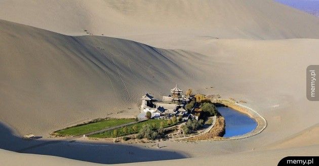 Oaza na pustyni Gobi