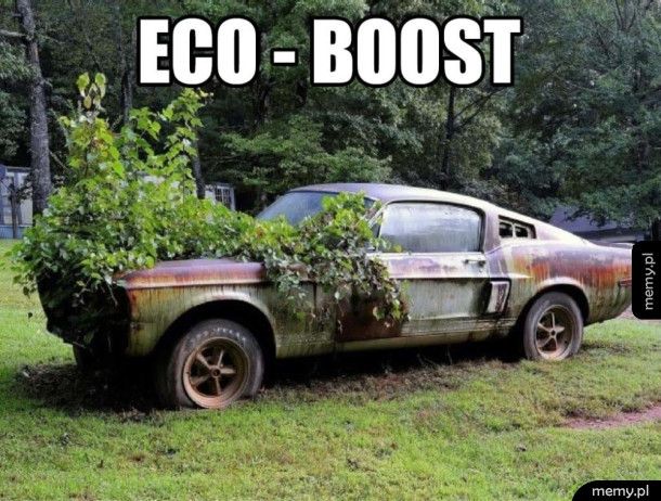 Ekologiczny Ford