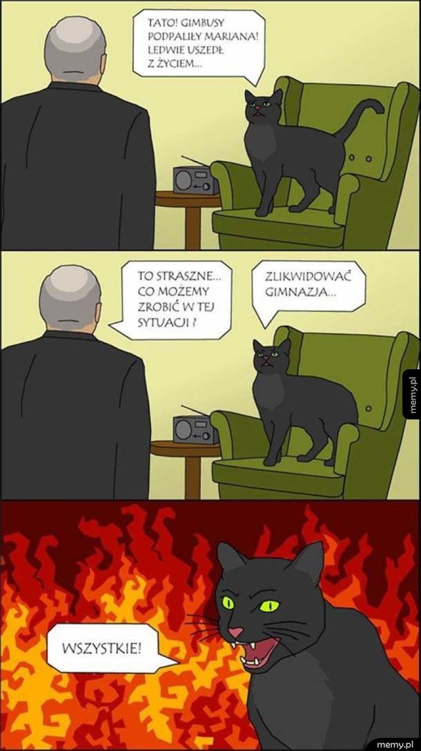 Kot Jarosława