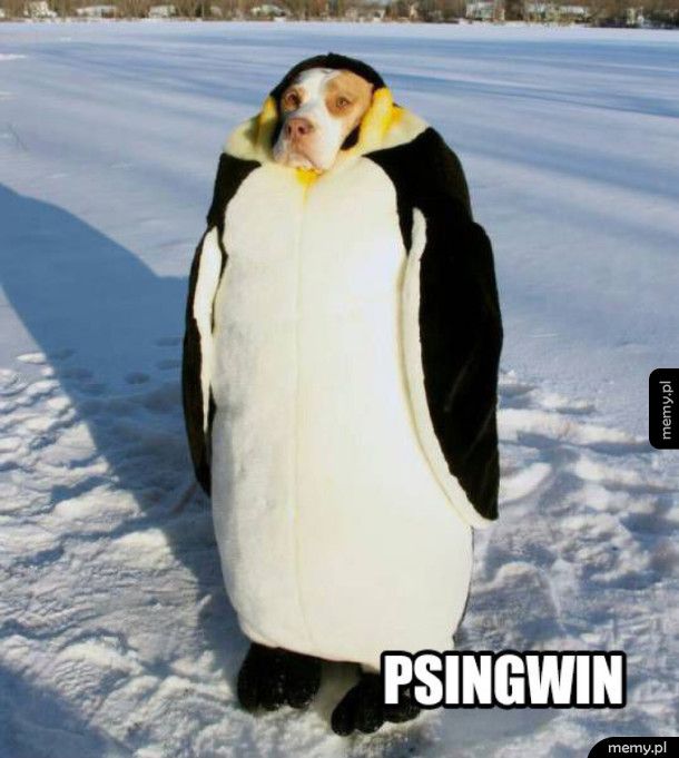 Psingwin