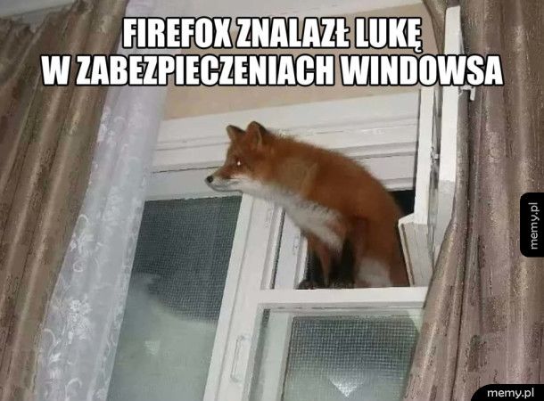 Firefox znalazł lukę