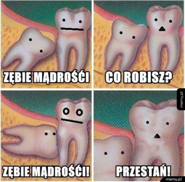 Typowy ząb 