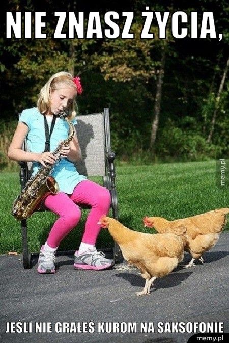Nie znasz życia,  Jeśli nie grałeś kurom na saksofonie