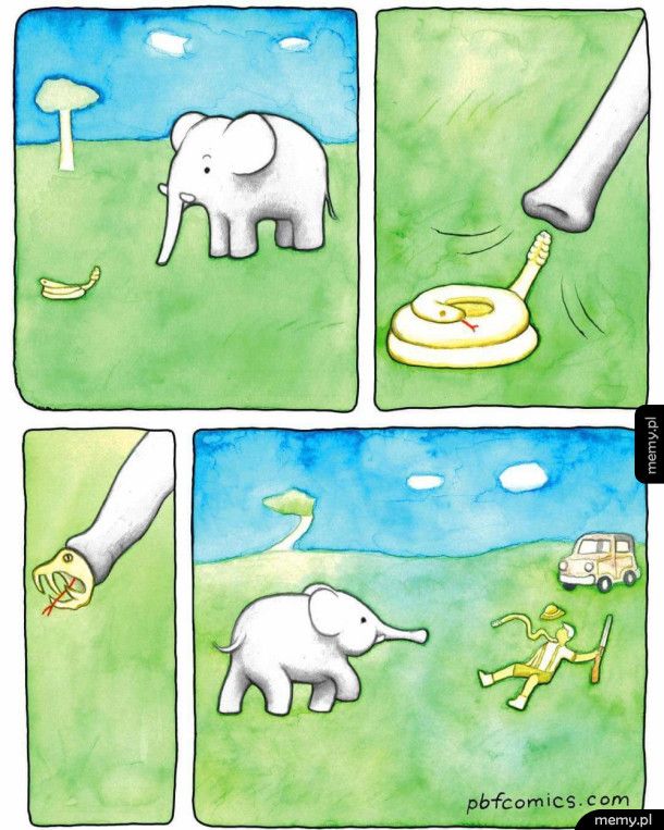 Słoń vs myśliwy