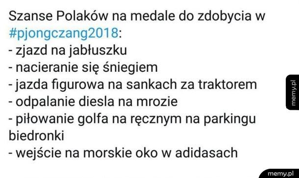 Polska na olimpiadzie zimowej