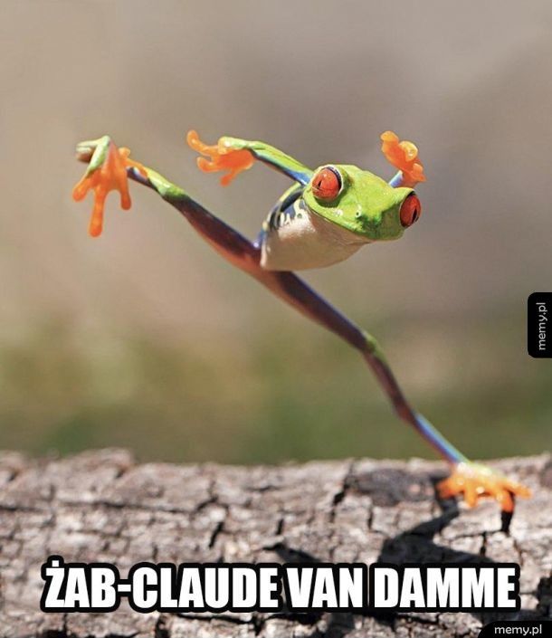Żab-Claude Van Damme