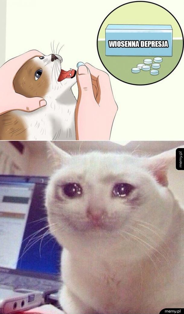 Smutny kot