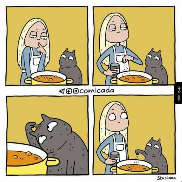 Gotowanie z kotem
