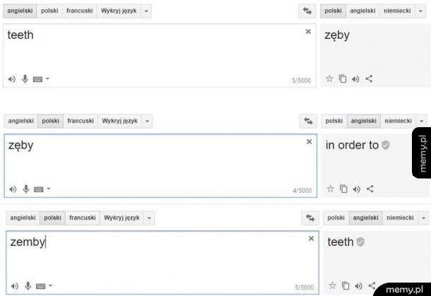 Co ten tłumacz google
