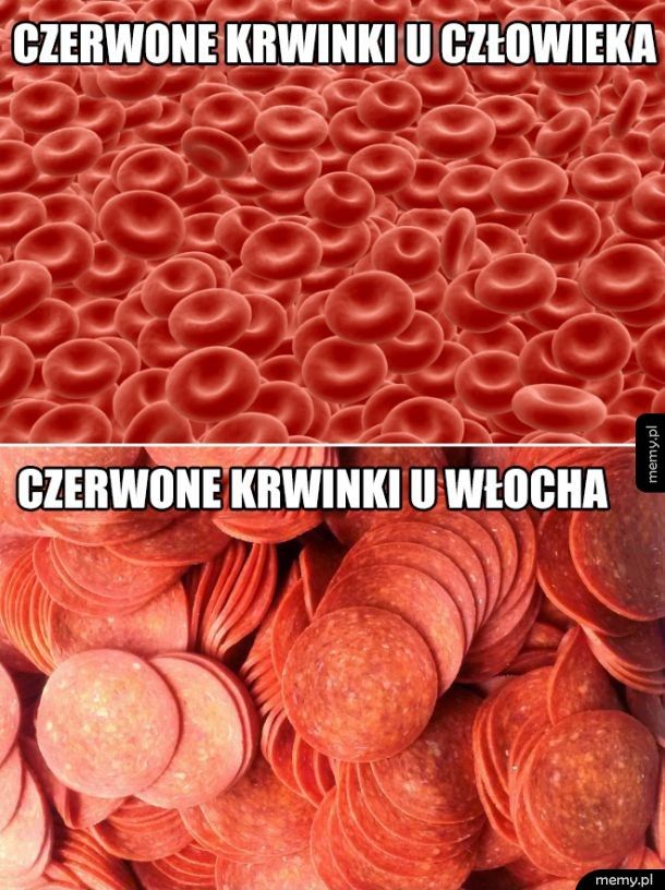 Czerwone krwinki