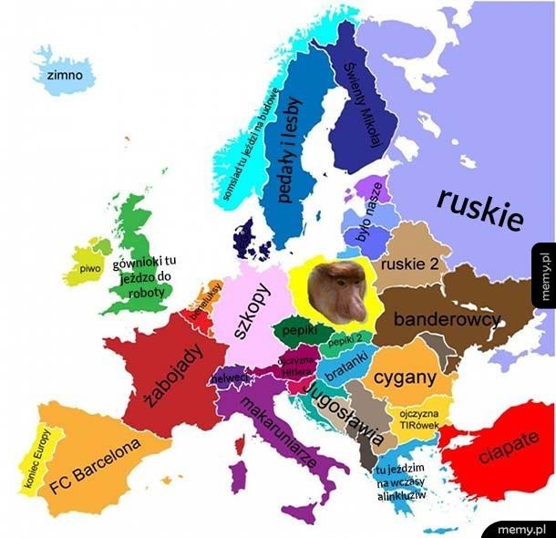 Mapa Europy według Janusza