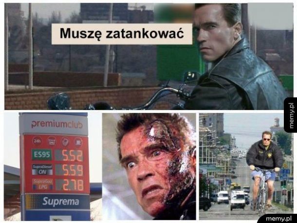 Terminator w Polsce