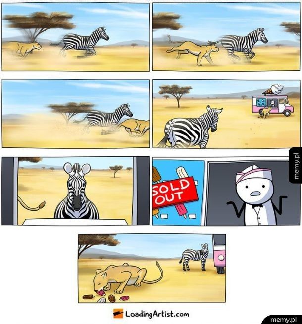Zebra nie miała szans