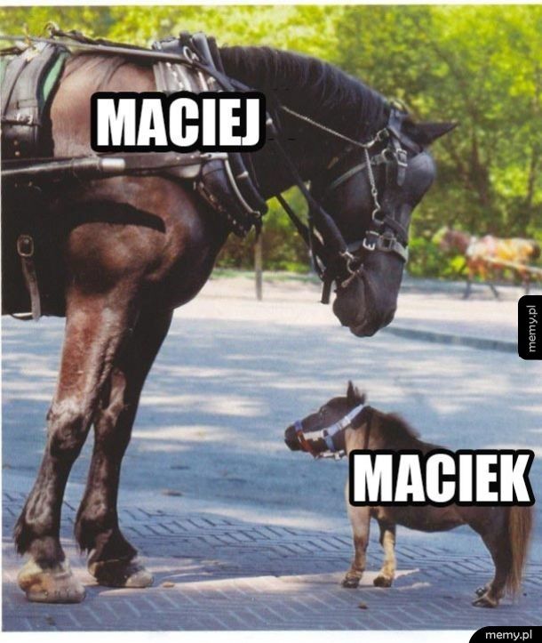Maciek vs Maciej