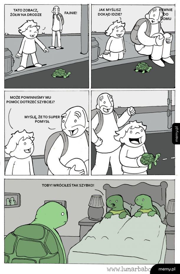 Pomoc dla żółwia