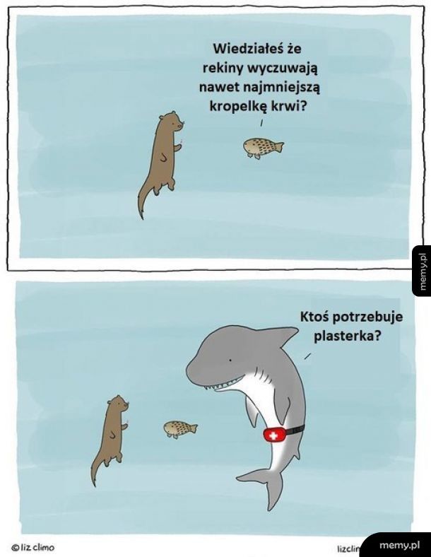 Idealny węch rekinów