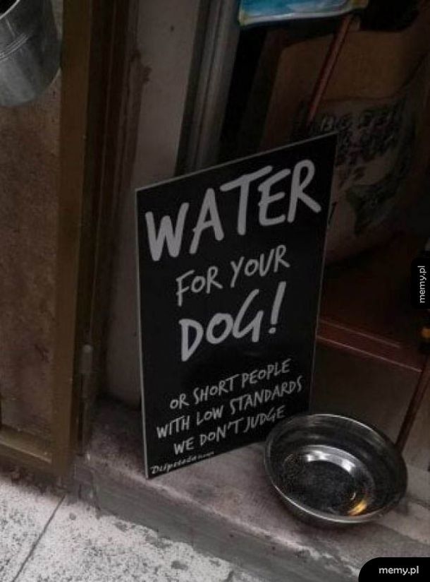 Woda dla psa