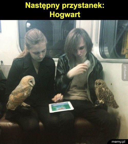 Następny przystanek: Hogwart