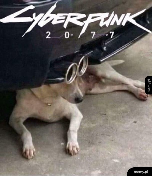 Cyberpunk