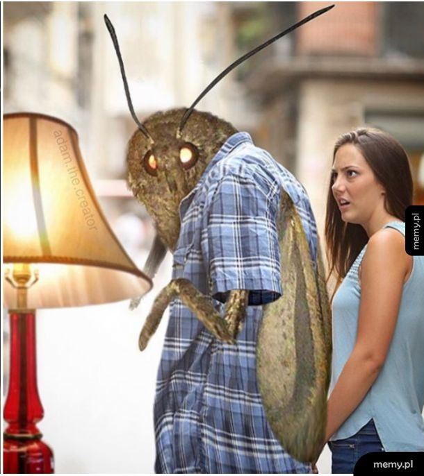 No wiadomo, że lampa