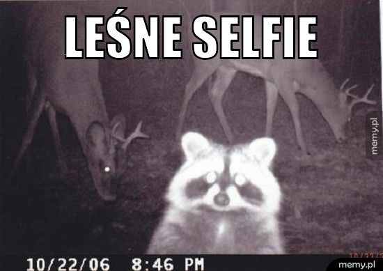 Leśne selfie