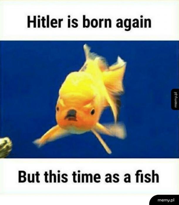 Hitler ryba