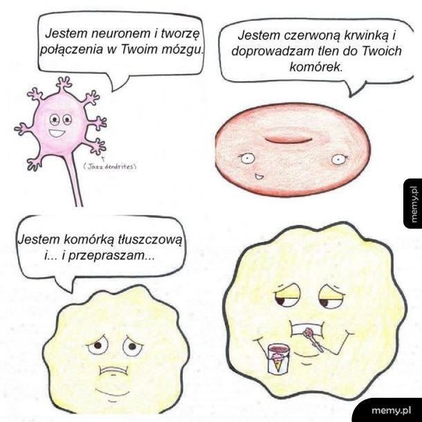 Komórki ciała