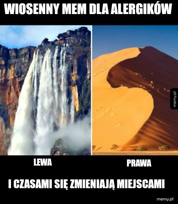 Noski noski ani lewa ani prawa